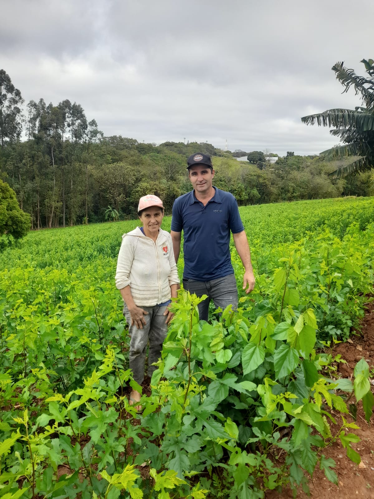 Do campo para o mundo: Godoy Moreira é referência na produção de seda